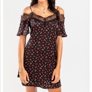Francesca’s Victoria Floral Lace Mini Dress